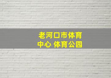 老河口市体育中心 体育公园